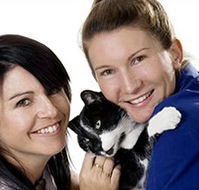 Vets On Wheels - Vets Adelaide