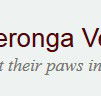 Yeronga Vet Surgery - Vets Adelaide