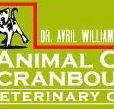 Animal Care Cranbourne Veterinary Centre - Vets Adelaide