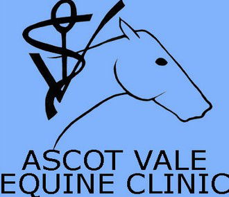 Travancore VIC Vets Adelaide