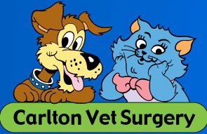 Carlton Veterinary Clinic - Vets Adelaide 0