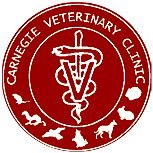  Vets Adelaide
