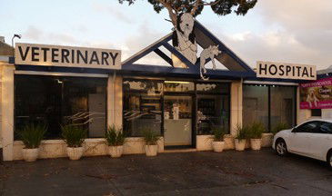  Vets Adelaide