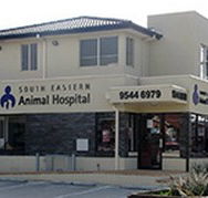 South Eastern Animal Hospital - Vets Adelaide