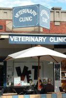 Elwood Veterinary Clinic - Vets Adelaide 1