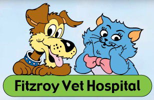 Fitzroy Veterinary Clinic - Vets Adelaide 0