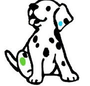 Four Paws Vets - Findon Vet Surgery