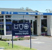 Greensborough Veterinary Hospital - Vets Adelaide