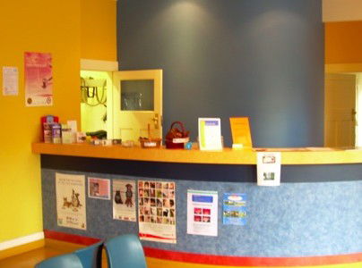 John The Vet - Vets Adelaide 1