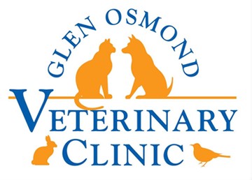 Glen Osmond Veterinary Clinic - Vets Adelaide 0