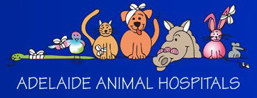 AdelaideVet - Goodwood Road - Vets Adelaide 0