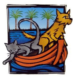 Kingsville VIC Vets Adelaide