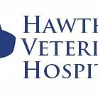 Hawthorn Veterinary Hospital - Vets Adelaide