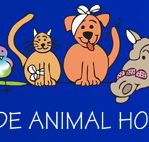 Prospect Road Veterinary Hospital - Vets Adelaide