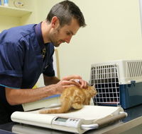 Seaford Vet Care - Vets Adelaide
