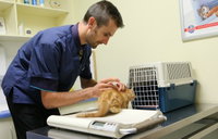 Book Moana Accommodation Vacations Vets Adelaide Vets Adelaide