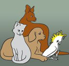 Southcoast Animal Hospital - Vets Adelaide
