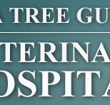 Tea Tree Gully Veterinary Hospital - Vets Adelaide