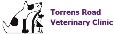 Kilburn SA Vets Adelaide