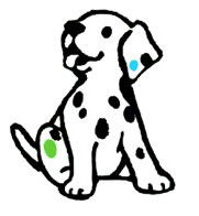 Four Paws Vets - Unley Vet Surgery Unley