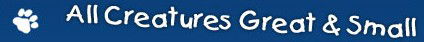 All Creatures Great & Small Vet Centre - Vets Adelaide 0