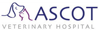 Ascot Veterinary Hospital - Vets Adelaide 0
