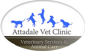 Melville WA Vets Adelaide
