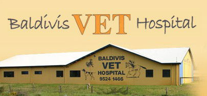  Vets Adelaide