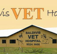 Baldivis Vet Hospital - Vets Adelaide