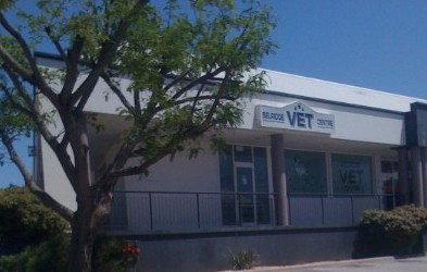 Beldon WA Vets Adelaide