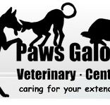 Paws Galore Veterinary Centre - Vets Adelaide