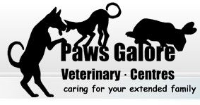 Paws Galore Veterinary Centre - Vets Adelaide 0