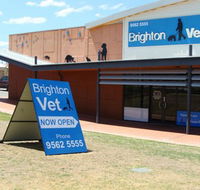 Brighton Vet - Vets Adelaide