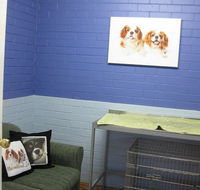 Cavalier Vet Practice - Vets Adelaide