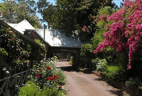 Eastern Hills Veterinary Centre - Vets Adelaide 1