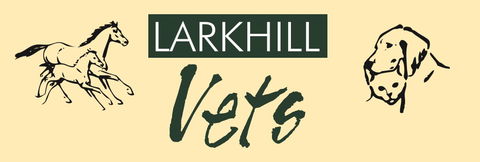 Larkhill Vets - Vets Adelaide 0