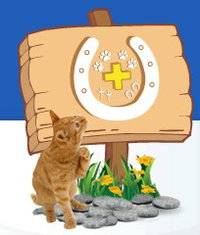 Midland Vet Hospital