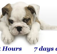 Animal Ambulance - Vets Adelaide