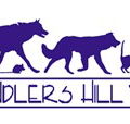 Chandlers Hill Vet - Vets Adelaide