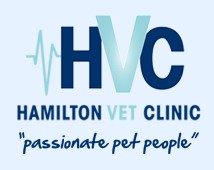 Hamilton East NSW Vets Adelaide