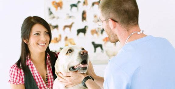 Theodore ACT Vets Adelaide