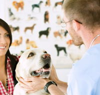 All Creatures Veterinary Centre - Vets Adelaide
