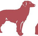 Deakin Veterinary Hospital - Vets Adelaide