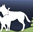 Gungahlin Veterinary Hospital - Vets Adelaide