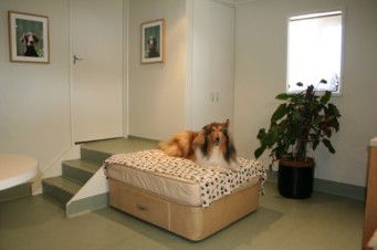 Doctors Flat ACT Vets Adelaide