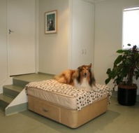 Holistic Paws - Vets Adelaide