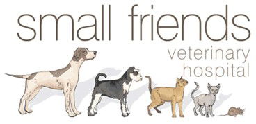 Small Friends Veterinary Hospital - Vets Adelaide 0
