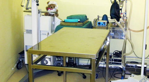 All Paws Veterinary Clinic - Vets Adelaide 2