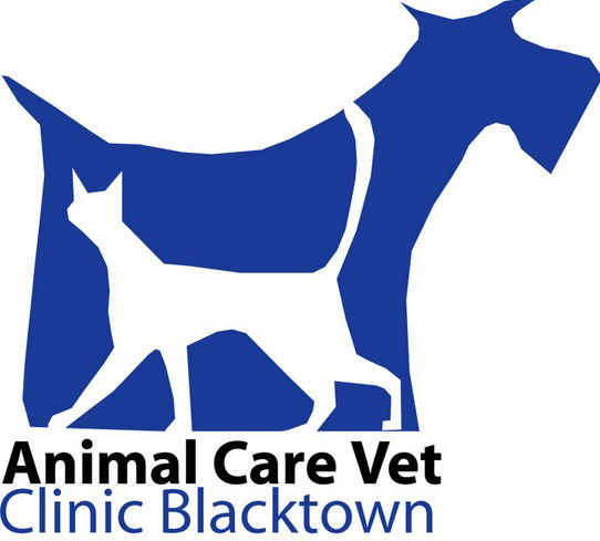 Vets Adelaide