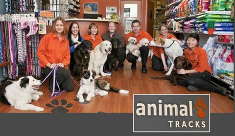 Animal Tracks Veterinary Clinic - Vets Adelaide 0